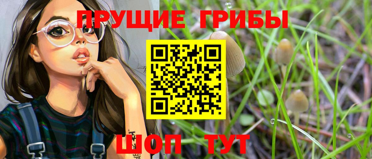 Псилоцибиновые грибы Psilocybine cubensis  Галлюциногенные грибы Magic Shrooms  купить наркотик  Сорочинск  Вход с VPN 